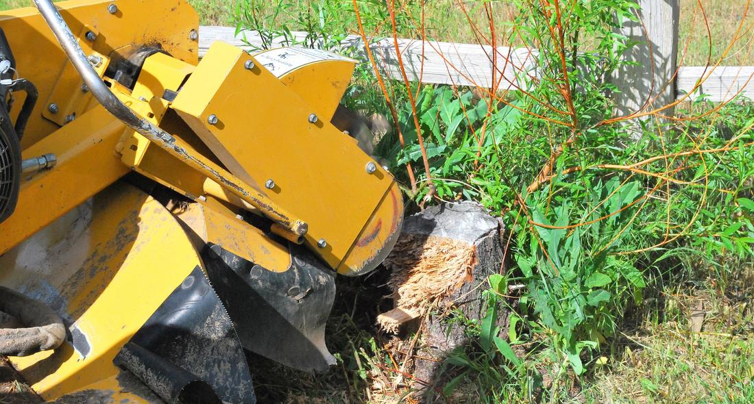 This is a picture of a stump grinding.